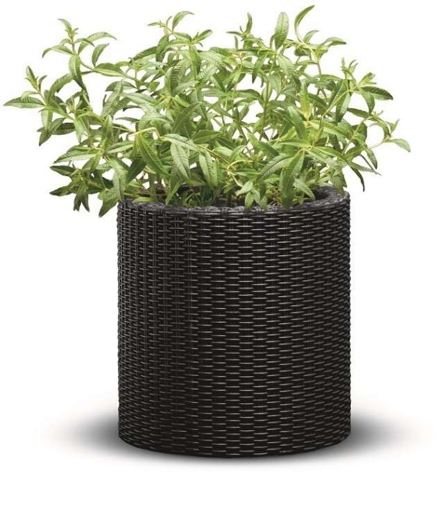 KETER Květináč Cylinder Planter S